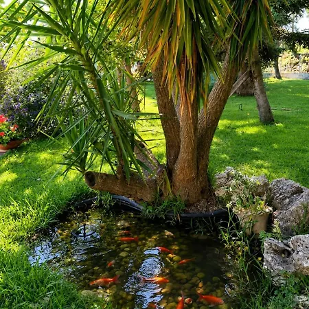 A Casa Di Nonna Emilia 3* Campagna