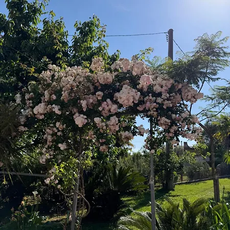 Bed & Breakfast A Casa Di Nonna Emilia Campagna