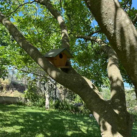 A Casa Di Nonna Emilia