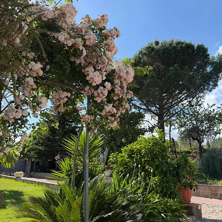 A Casa Di Nonna Emilia Bed & Breakfast 3*