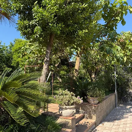 A Casa Di Nonna Emilia Bed & Breakfast Campagna