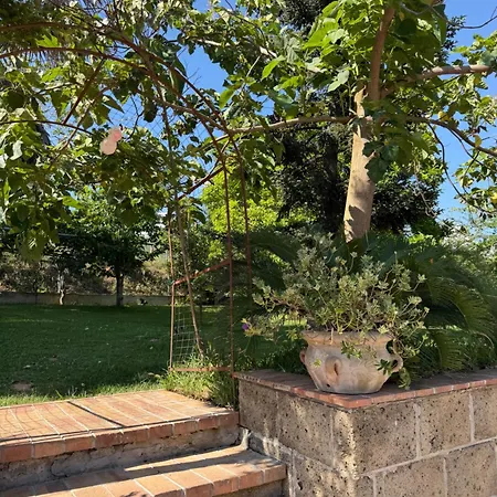 A Casa Di Nonna Emilia Campagna