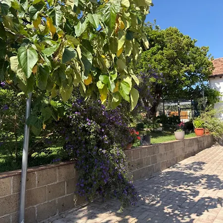 Bed & Breakfast A Casa Di Nonna Emilia 3*