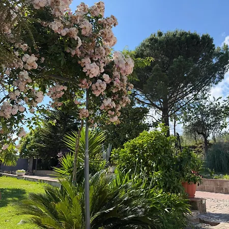 A Casa Di Nonna Emilia
