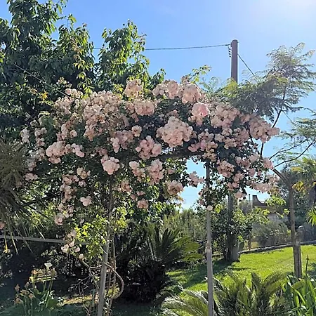A Casa Di Nonna Emilia